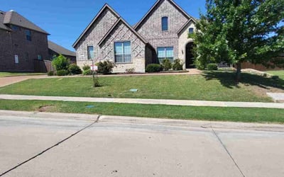 Photo of Mary M.'s yard after getting lawn care in Rockwall, TX