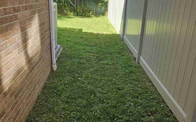 Photo of Stephanie T.'s yard after getting lawn care in Cliffside Park, NJ