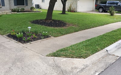 Photo of Lauren W.'s yard after getting lawn care in Windsor, CA