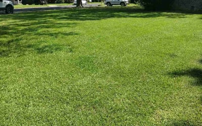 Photo of Jay B.'s yard after getting lawn care in Center Point, AL