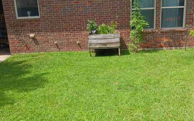 Photo of Tracy T.'s yard after getting lawn care in Tempe, AZ