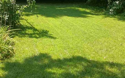 Photo of Melanie M.'s yard after getting lawn care in Nashua, NH