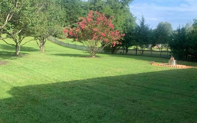Photo of Rob S.'s yard after getting lawn care in Waxhaw, NC