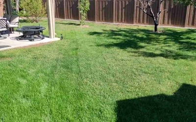 Photo of Amara L.'s yard after getting lawn care in Orem, UT
