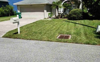 Photo of Charles J.'s yard after getting lawn care in Jacksonville Beach, FL