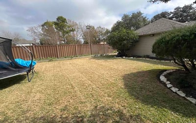 Photo of Brian Y.'s yard after getting lawn care in Austin, TX
