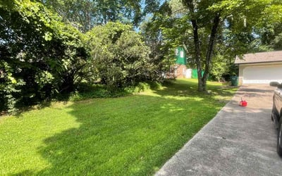 Photo of Zay Y.'s yard after getting lawn care in Rex, GA