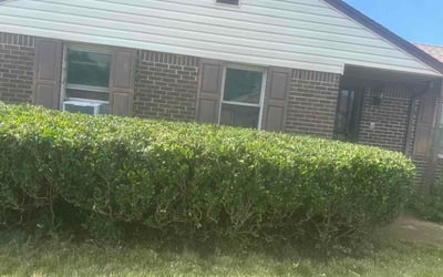 Photo of Darlene S.'s yard after getting lawn care in Doylestown, PA