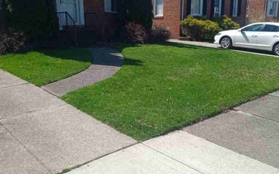 Photo of Denise W.'s yard after getting lawn care in Brookpark, OH