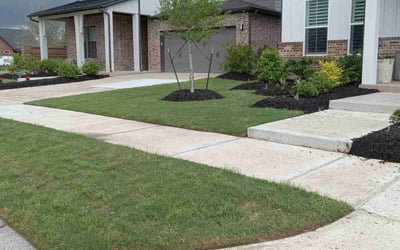 Photo of George O.'s yard after getting lawn care in Wasco, CA
