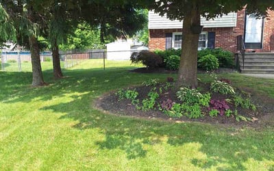 Photo of Gary P.'s yard after getting lawn care in Cicero, NY