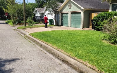 Photo of Tony M.'s yard after getting lawn care in Chapin, SC
