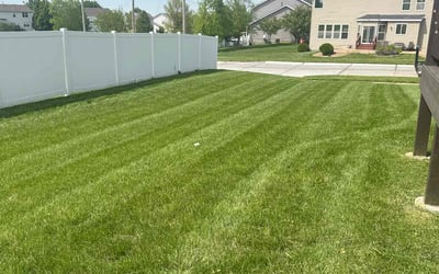 Photo of Sherrell C.'s yard after getting lawn care in Union, MO
