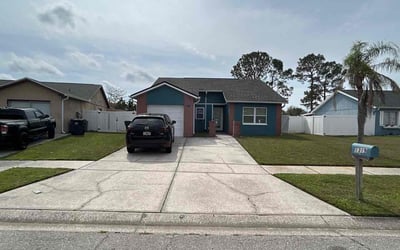 Photo of Kelly W.'s yard after getting lawn care in Seffner, FL