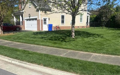 Photo of Julie W.'s yard after getting lawn care in Charlottesville, VA