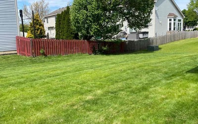 Photo of Wayne M.'s yard after getting lawn care in Romeoville, IL