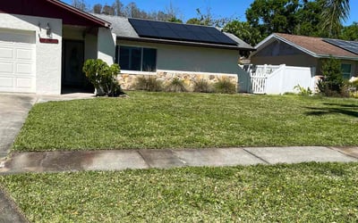 Photo of Lauren P.'s yard after getting lawn care in Tampa, FL
