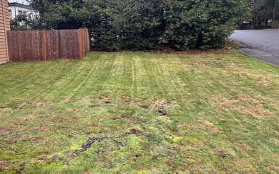 Photo of Vincent R.'s yard after getting lawn care in Anaheim, CA