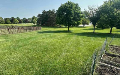 Photo of Keith A.'s yard after getting lawn care in Maryville, TN