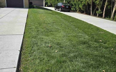 Photo of Jeremy M.'s yard after getting lawn care in Harvest, AL