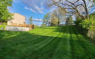 Photo of Andrew S.'s yard after getting lawn care in Cincinnati, OH
