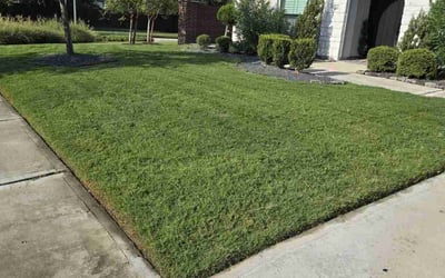 Photo of Devin M.'s yard after getting lawn care in Stafford, TX