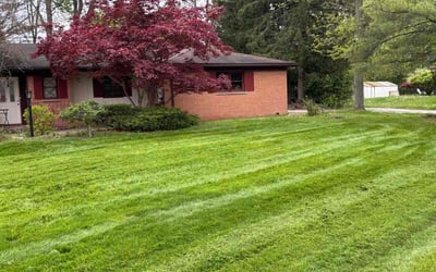 Photo of Jeenie D.'s yard after getting lawn care in Holly, MI