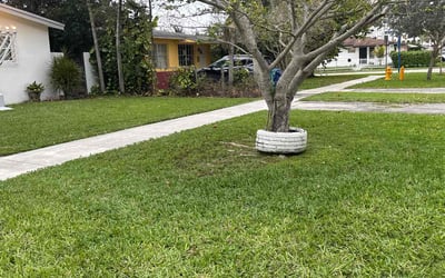 Photo of Jeremy B.'s yard after getting lawn care in South San Francisco, CA