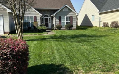 Photo of Tambra E.'s yard after getting lawn care in Georgetown, TX