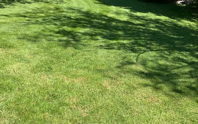Photo of Chelsea B.'s yard after getting lawn care in Clarks Summit, PA