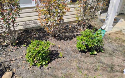 Photo of Jonathan C.'s yard after getting lawn care in Pickens, SC