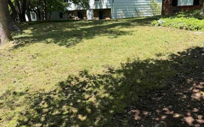 Photo of Vincent Z.'s yard after getting lawn care in Bowling Green, OH