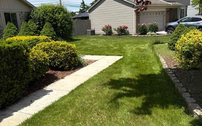 Photo of Darlene H.'s yard after getting lawn care in Holly Springs, NC
