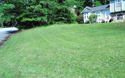 Photo of David H.'s yard after getting lawn care in Haslet, TX