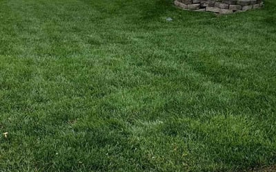 Photo of Lisa C.'s yard after getting lawn care in Dumfries, VA