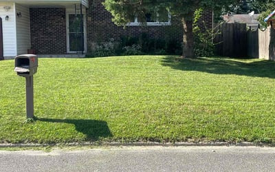 Photo of sohail h.'s yard after getting lawn care in Troy, NY