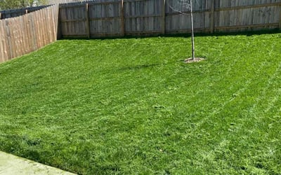 Photo of Jordan B.'s yard after getting lawn care in Nashville, TN