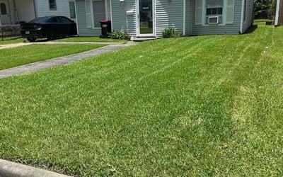 Photo of Lexie R.'s yard after getting lawn care in Knoxville, TN