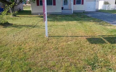 Photo of Amy B.'s yard after getting lawn care in Rehoboth Beach, DE