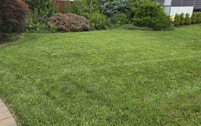 Photo of Beverly C.'s yard after getting lawn care in Clifton, NJ