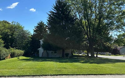 Photo of Cynthia K.'s yard after getting lawn care in Elizabethtown, PA