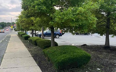 Photo of Frances A.'s yard after getting lawn care in Fort Washington, MD