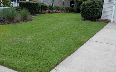 Photo of Michael M.'s yard after getting lawn care in Ladson, SC