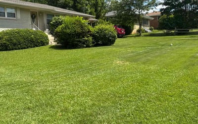 Photo of Nannette P.'s yard after getting lawn care in West Palm Beach, FL