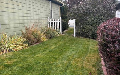 Photo of Brae D.'s yard after getting lawn care in Yakima, WA