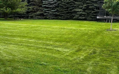 Photo of Derek J.'s yard after getting lawn care in Chesterton, IN
