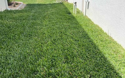 Photo of Yvonne S.'s yard after getting lawn care in Aurora, IL