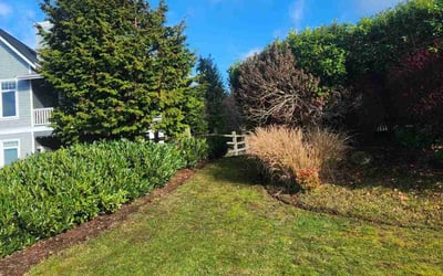 Photo of Betsy T.'s yard after getting lawn care in Wyoming, MI