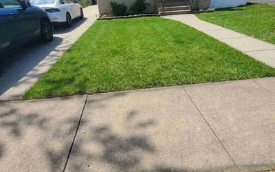 Photo of Kristi S.'s yard after getting lawn care in Cincinnati, OH