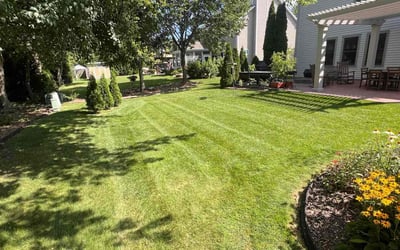 Photo of Kelly F.'s yard after getting lawn care in Kenosha, WI